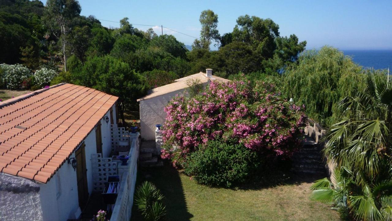 Morosi - Favone