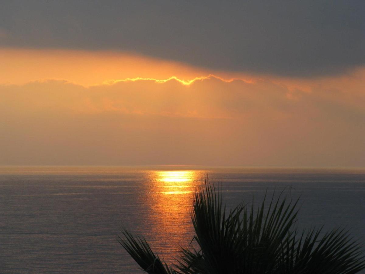 Morosi - Favone *